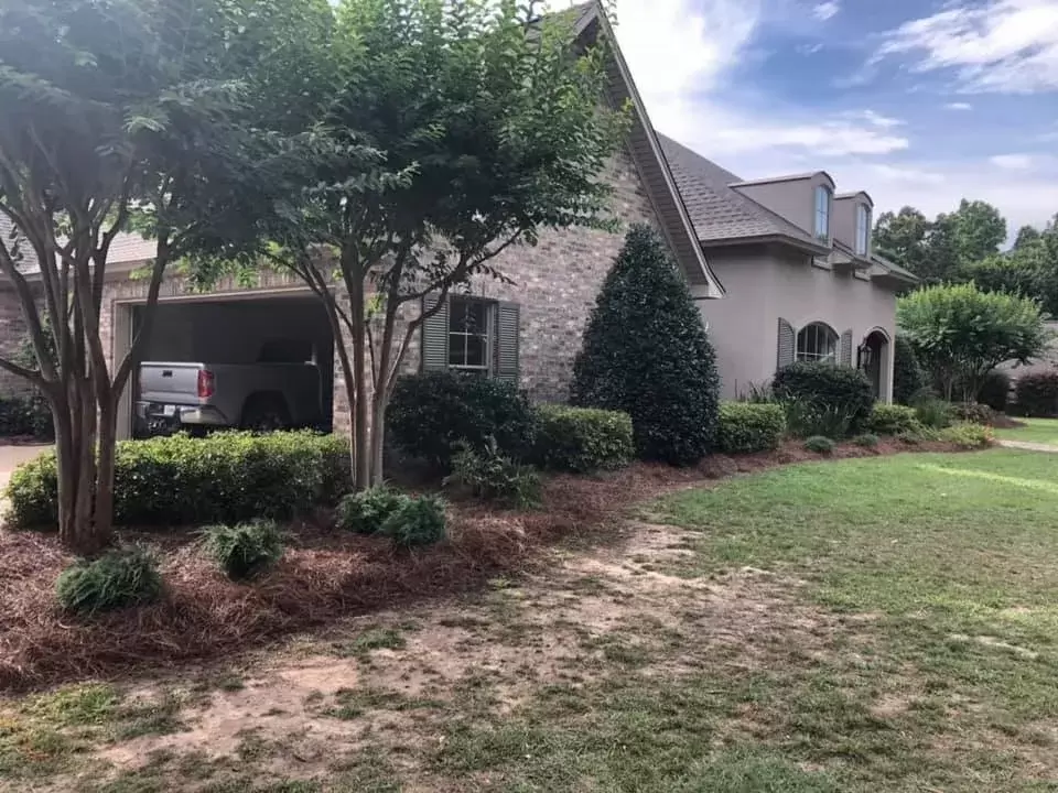 landscape maintenance in ruston, La with herbicide treatment and insecticide application