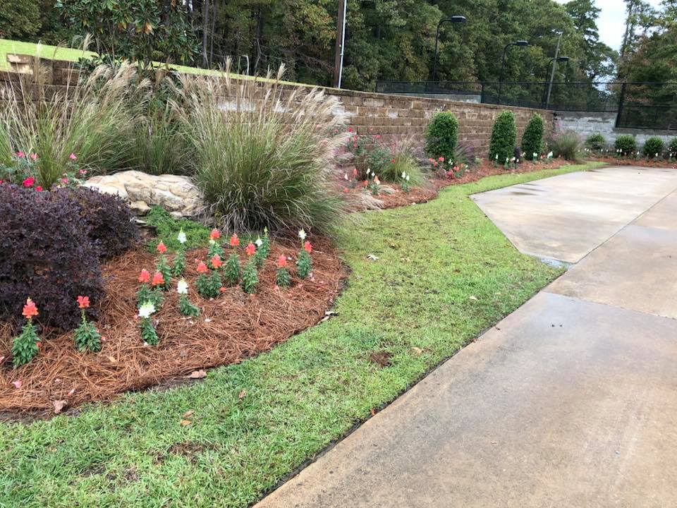 centipede sod installation and new landscaping in West Monroe, La