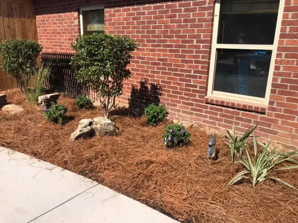 mini boulders and pine straw mulch surrounded by custom concrete curbing