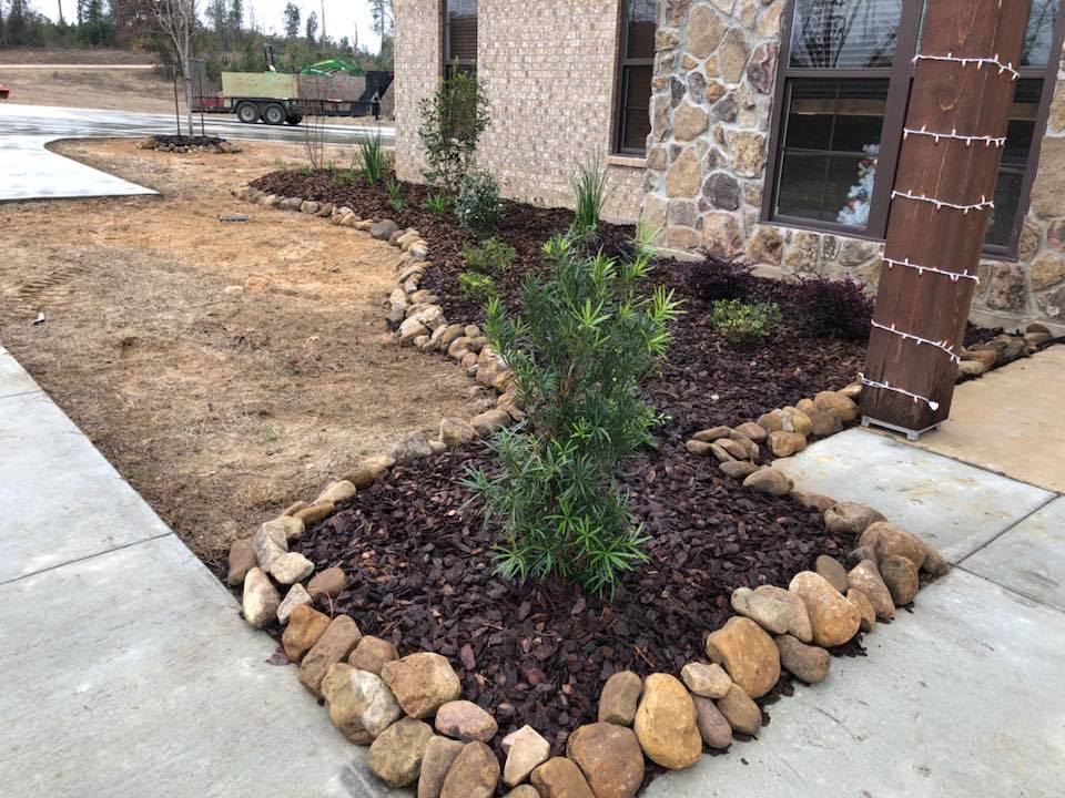 landscape install with pine bark mini nugget mulch and Japanese yew accent