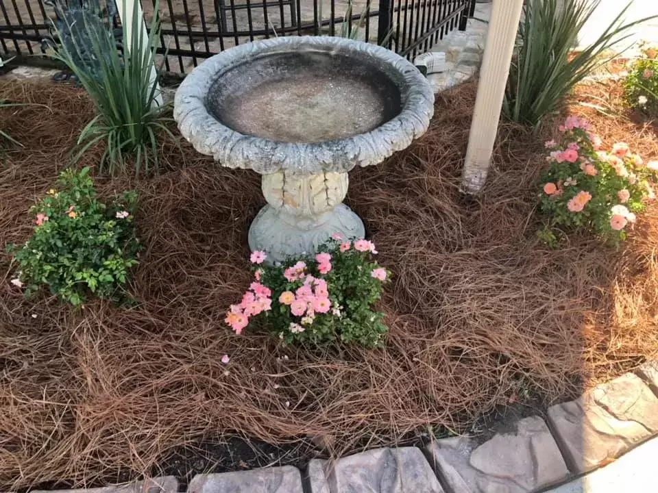 concrete landscape feature with pink drift roses and custom landscape edging
